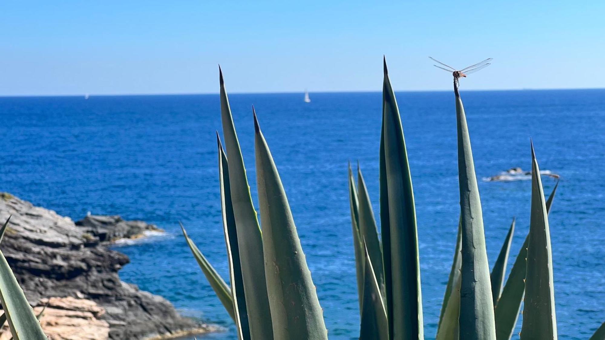 Dehesa de Campoamor  Turquesa Del Mar - Sun & Beach & Golf & Bike - Large Terrace Ground-Floor Spanish Apartment מראה חיצוני תמונה